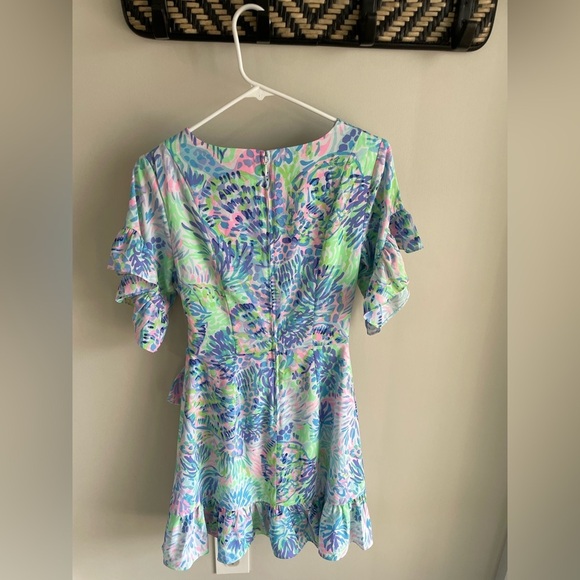 Lilly Pulitzer Darlah Stretch Dress - Blue/Green/Pink - Size 2 - Picture 10 of 13